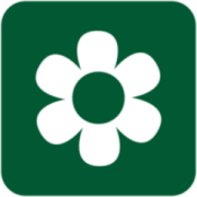 CSCEC Strait Construction