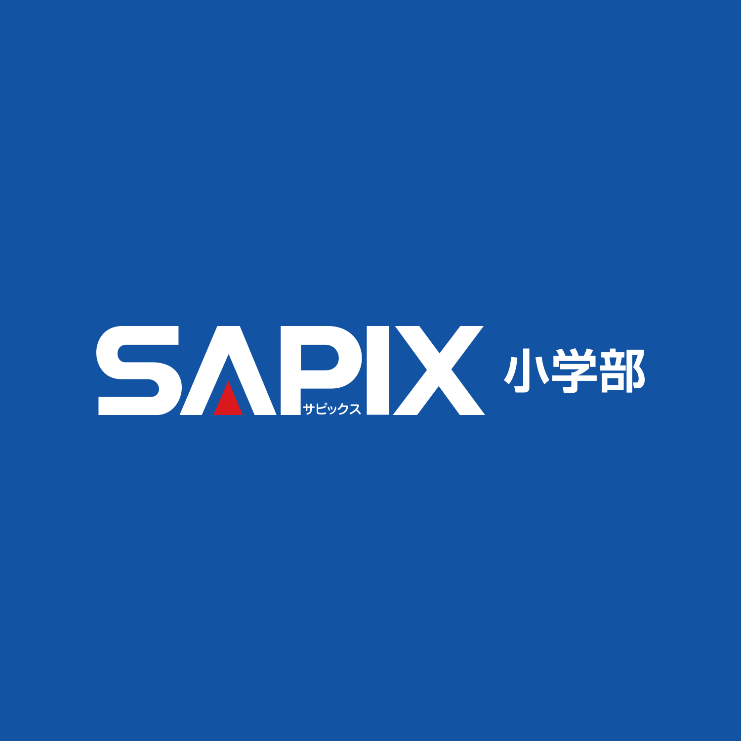 Sapix Yozemi Group