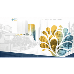 Spring Venture Group